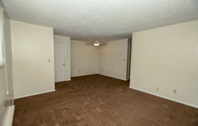 1 bed, 1 bath, $799