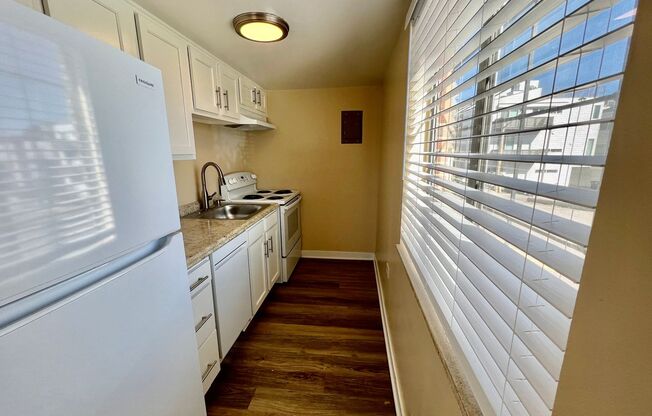 Newly Renovated One Bedroom Apartment Available December 1st