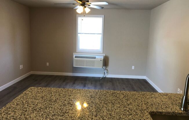 1 bed, 1 bath, 750 sqft, $925, Unit Apt. 203