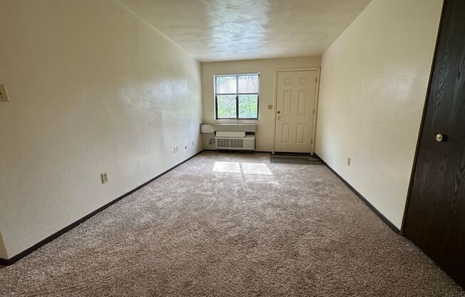 Amazing 1 Bedroom with Beautiful Exposed Brick! Off-Street Parking & Laundry Included!