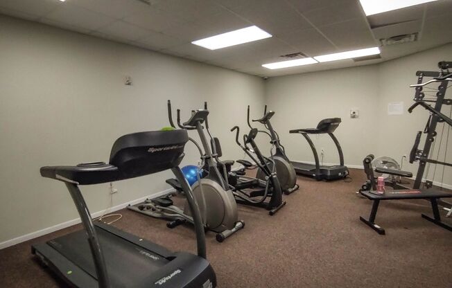 2 beds, 1 bath, $1,130, Unit A-204