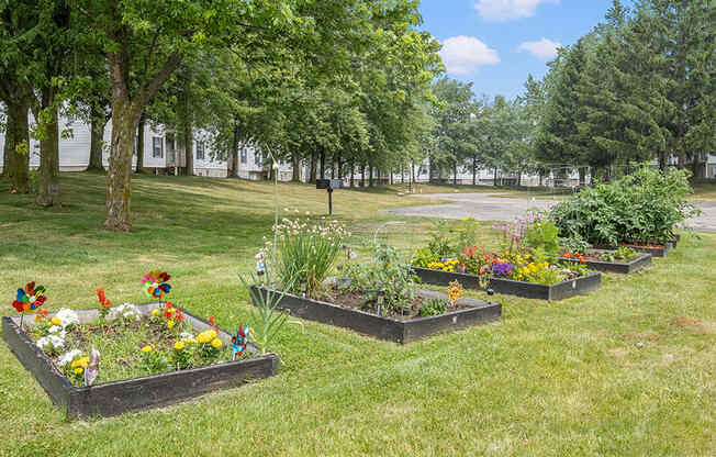 a row of flower beds in a grassy area with trees in the background