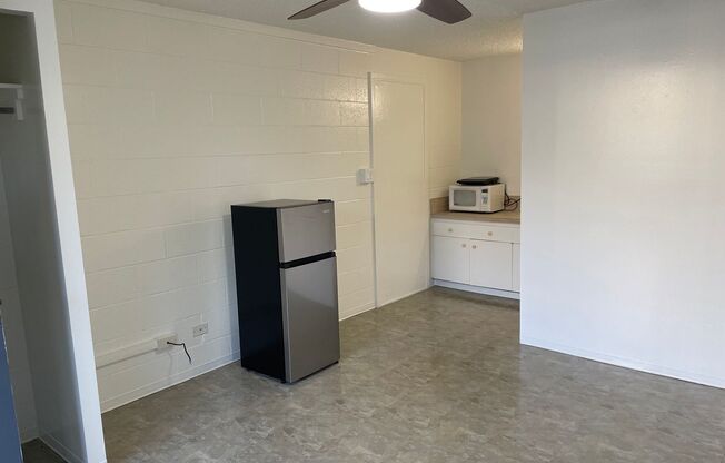 Studio, 1 bath, 210 sqft, $999, Unit 410