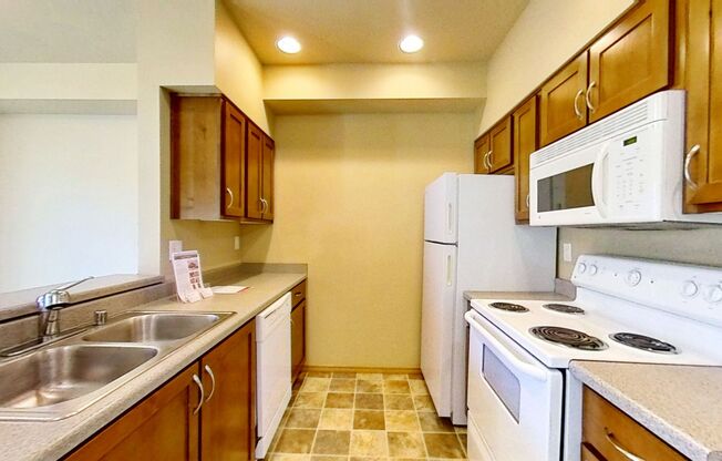 Studio, 1 bath, 542 sqft, $1,595, Unit 407