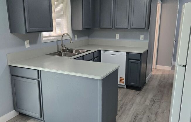 All like NEW Inside ! Great walk & bike scores - Large fenced backyard !