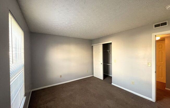 1 bed, 1 bath, $1,000