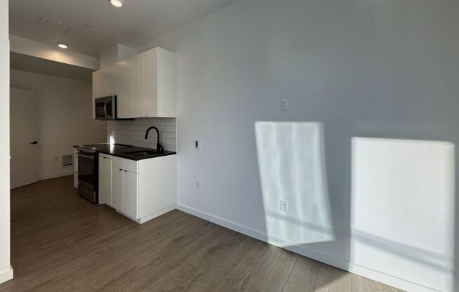 Studio, 1 bath, 342 sqft, $1,246.88, Unit 208