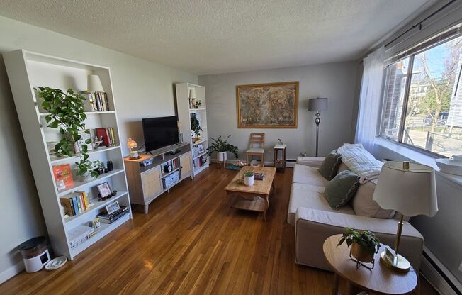 1 Bed - Natural Lighting - In-Unit Laundry - Off-Street Parking