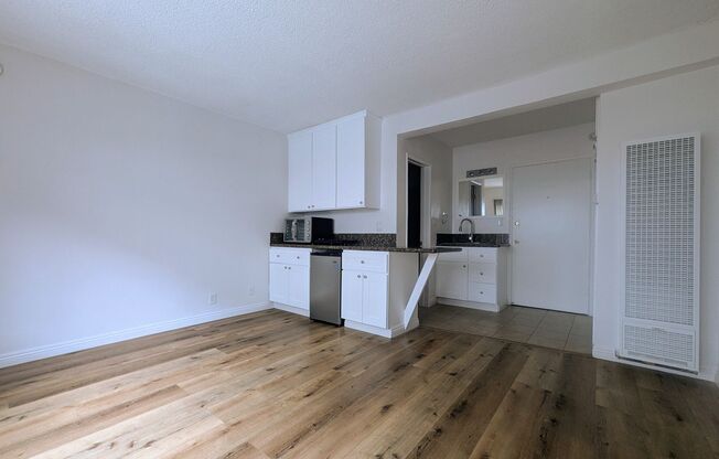 Studio, 1 bath, 263 sqft, $1,299, Unit 109