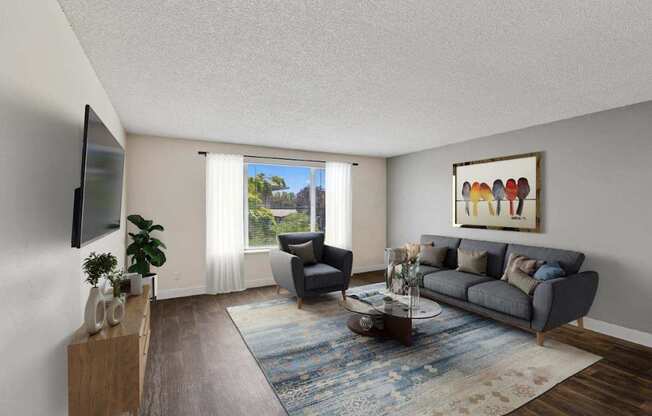 A living room with a grey couch, a coffee table, and a television.
