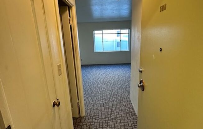 Studio, 1 bath, 348 sqft, $1,125, Unit 506B