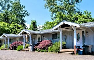 River View: Unique 1,200 sq ft 2 Bedroom 2 Bath Apartment in Secluded 4-Plex, NE Albany $1,595