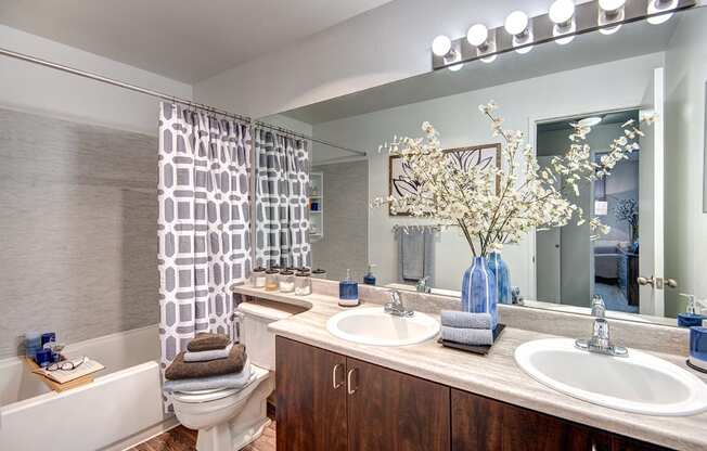 Kent Apartments- Signature Pointe Apartments- bathroom