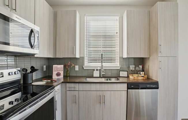 studio one and two bedroom plano apartments for rent