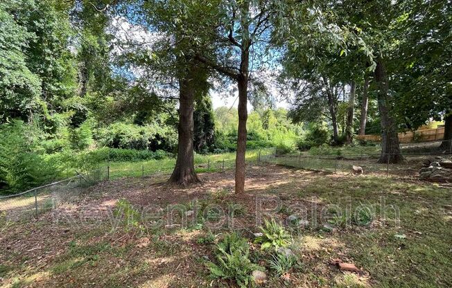 905 BELMONT DR