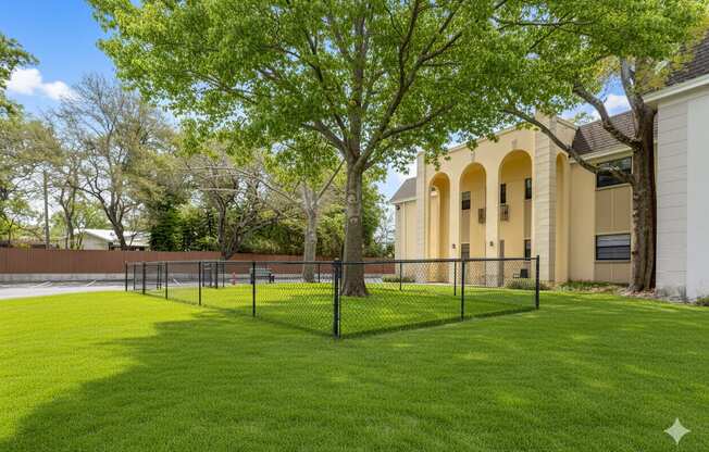 A tree stands in a grassy yard in front of a building.
