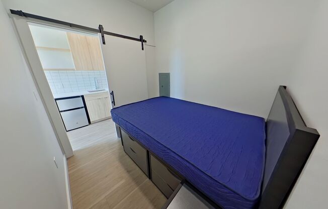 Studio, 1 bath, 314 sqft, $1,250, Unit 411