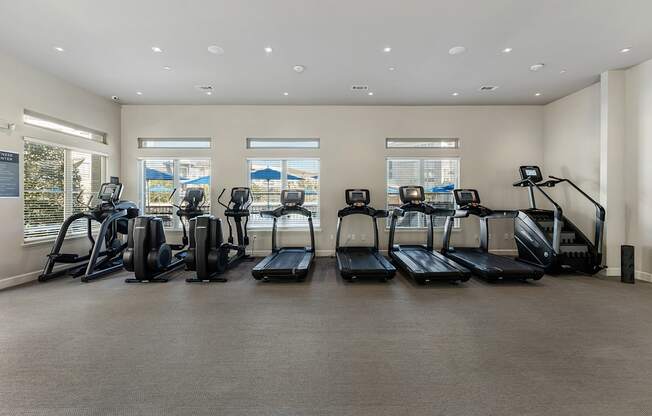 A gym with treadmills and elliptical machines.