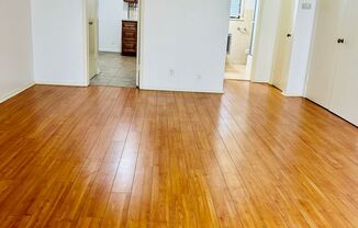 Studio, 1 bath, 600 sqft, $1,300, Unit 3