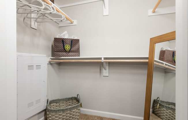 a walk in closet with shelves and baskets and a mirror