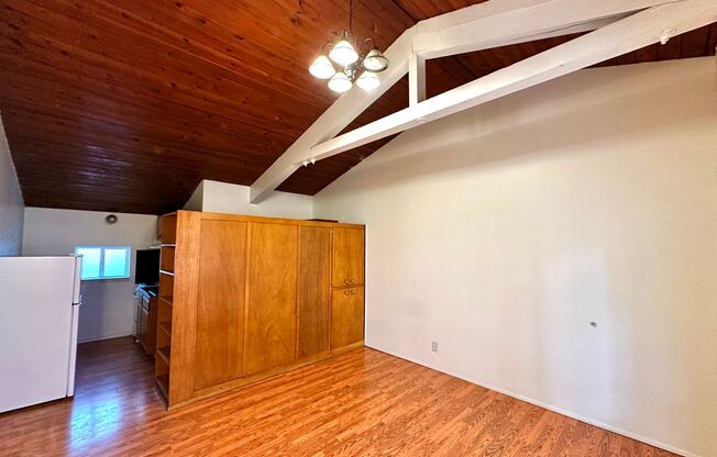 Studio, 1 bath, 350 sqft, $1,295, Unit 203