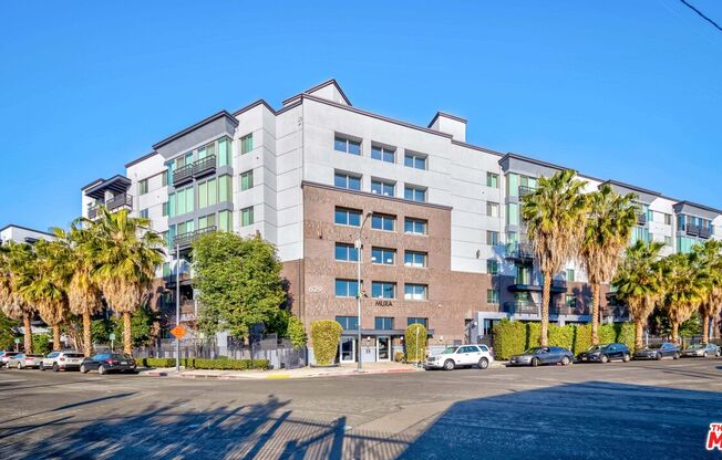 1 bed, 1 bath, 700 sqft, $2,950, Unit 604