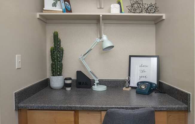 Apartments for Rent in Tyler - Built-In Desk with Three Drawers, Shelving and Overhead Lighting.