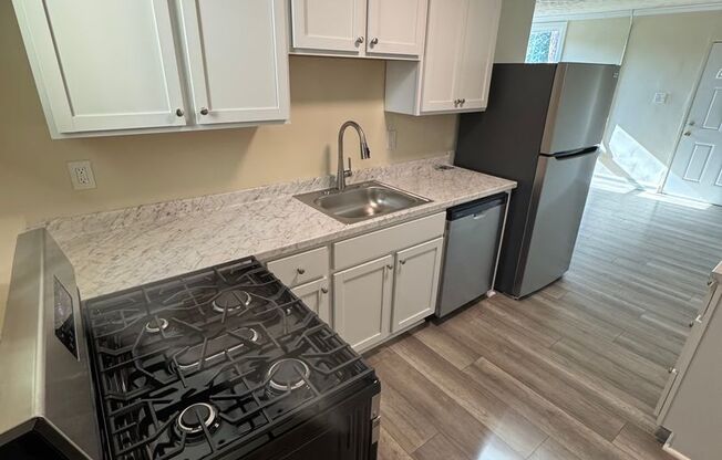 1 bed, 1 bath, 700 sqft, $1,325, Unit #6