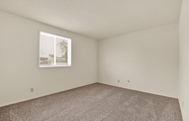 A room with a carpeted floor and a window showing a view of a house.