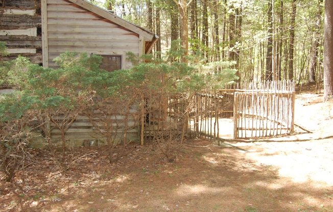 Cozy Cabin - 1 BR, 1 Ba