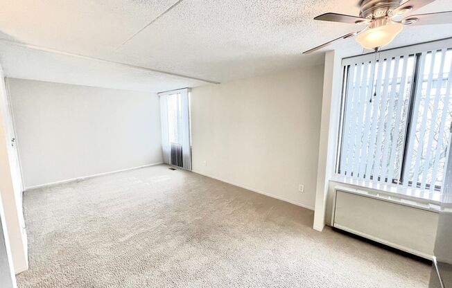 Studio, 1 bath, 375 sqft, $775, Unit 407B