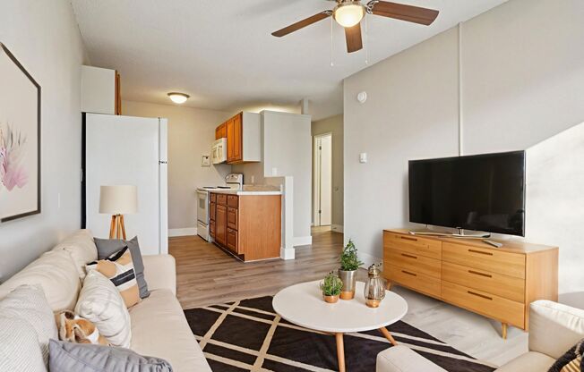 1 bed, 1 bath, 545 sqft, $799, Unit Unit 1