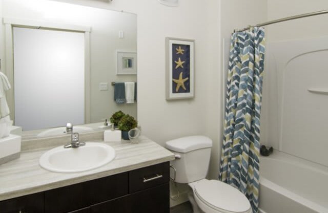 Large Soaking Tub In Bathroom at Lofts at 7800 Apartments, Midvale, UT, 84047