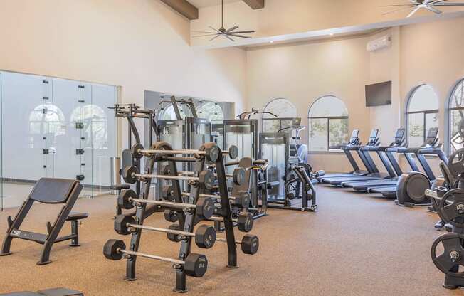 A gym with a variety of equipment including weights and treadmills.