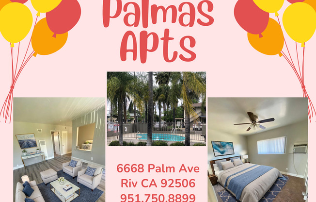 1 bed, 1 bath, 505 sqft, $1,700, Unit 6692B