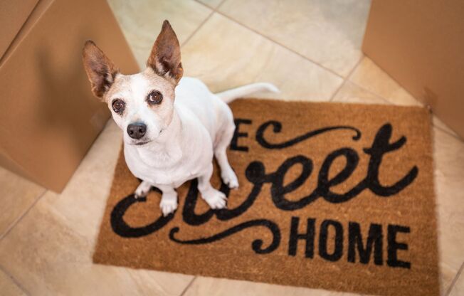 1 bed, 1 bath, 672 sqft, $1,300, Unit 2298-06