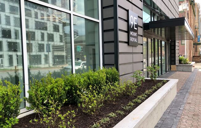 1 bed, 1 bath, 518 sqft, $1,585, Unit 614