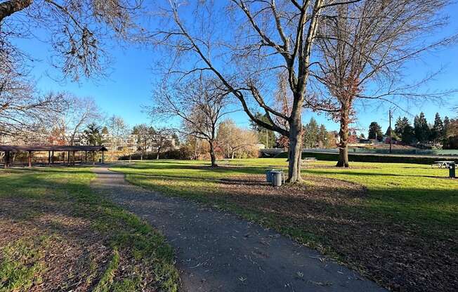 A path in a park with trees on the sides.