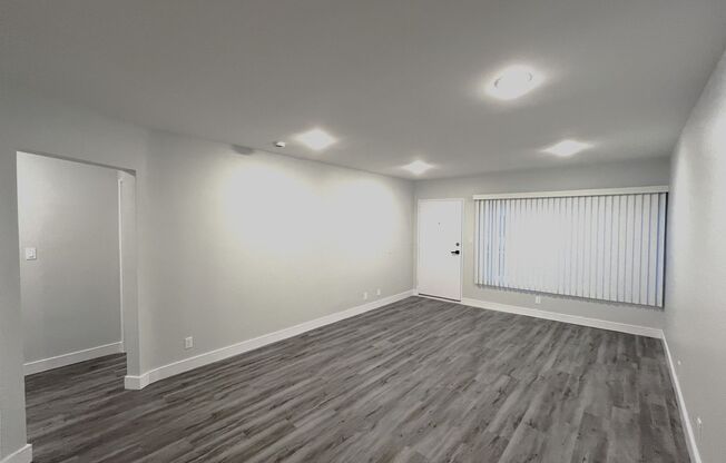 1 bed, 1 bath, 675 sqft, $3,098, Unit 315