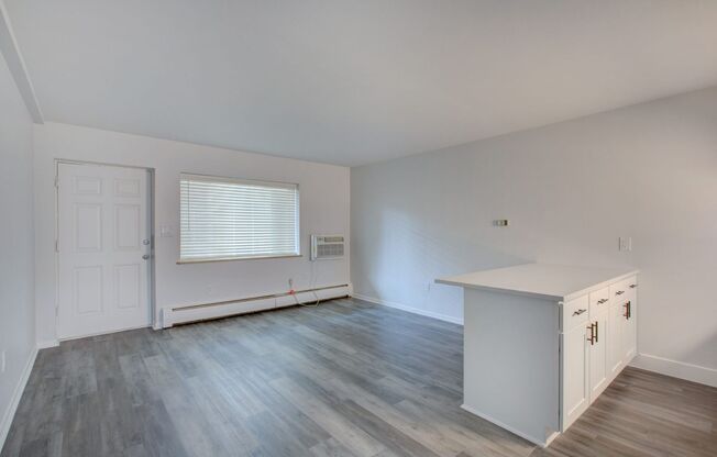 Studio, 1 bath, 380 sqft, $1,125, Unit Unit 5