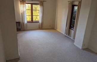Arlington Apartment