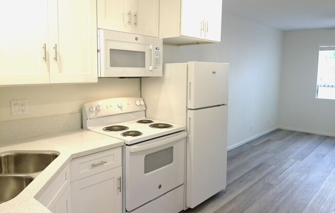 1 bed, 1 bath, 500 sqft, $2,000, Unit 202