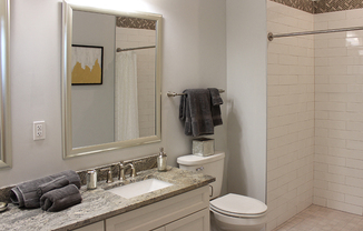 Modern Bathroom Fittings at Residences at Halle, Cleveland, OH