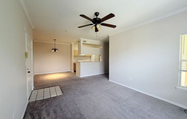 3rd Floor Unit, 1 bed/1 bath with Den in CARROLLWOOD AREA