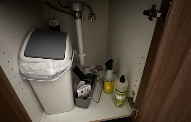 Studio, 1 bath, 244 sqft, $1,495, Unit 113 - Furnished