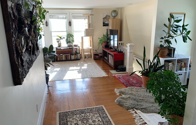 2 beds, 1 bath, 1,000 sqft, $2,500, Unit 3