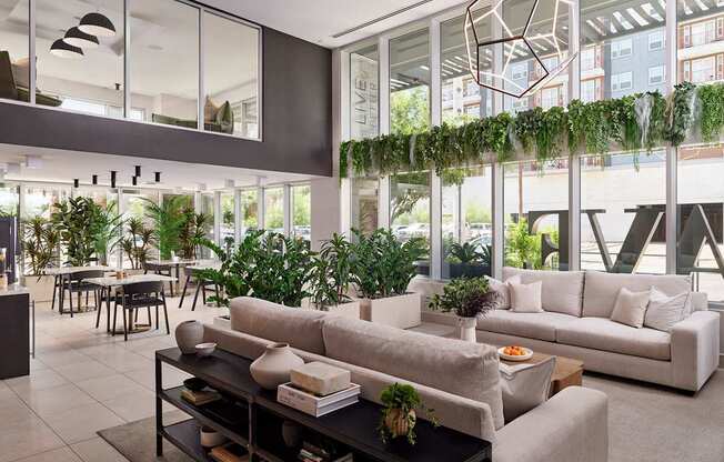 A modern living room with a large window and a green plant on the windowsill.