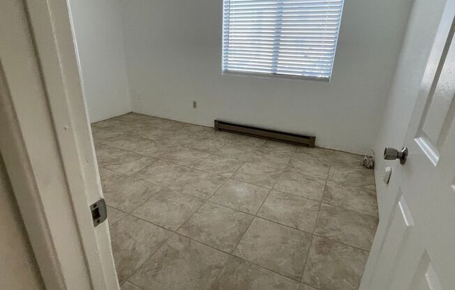 3809 Queen Palm Maintenance