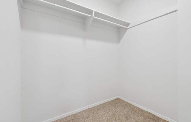 A white wall with a shelf above a carpeted floor.