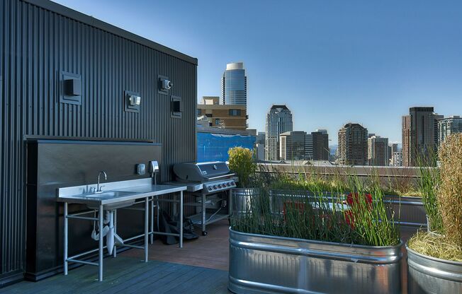 Studio, 1 bath, 418 sqft, $1,495, Unit 312